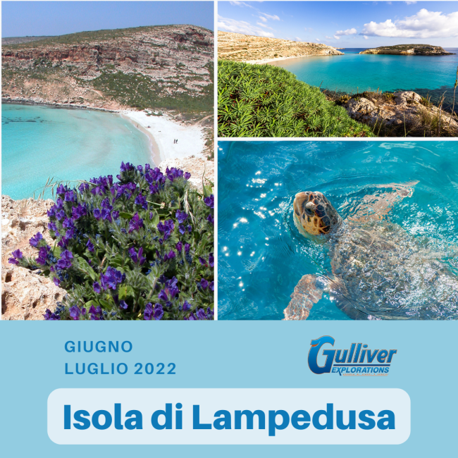 Soggiorno Lampedusa Giugno Luglio 2022
